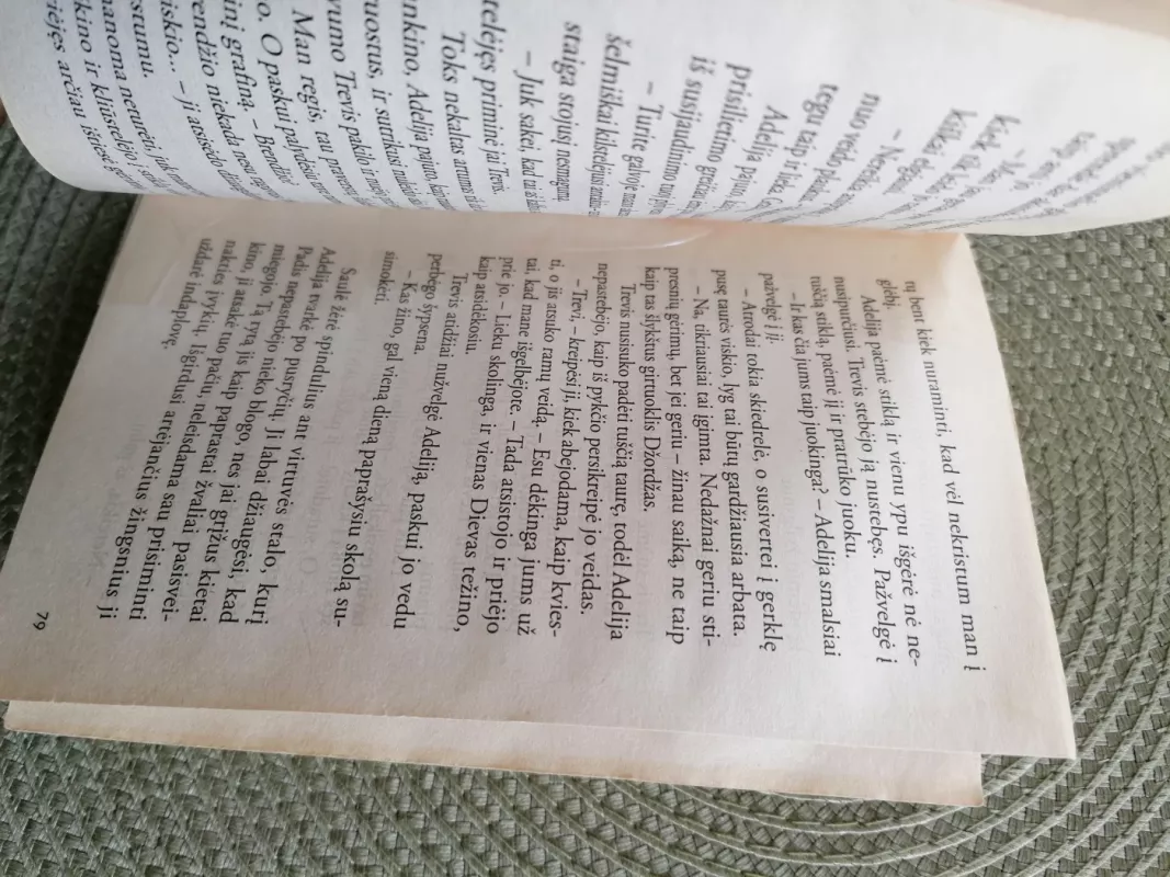 Gražioji arklininkė - Nora Roberts, knyga 4