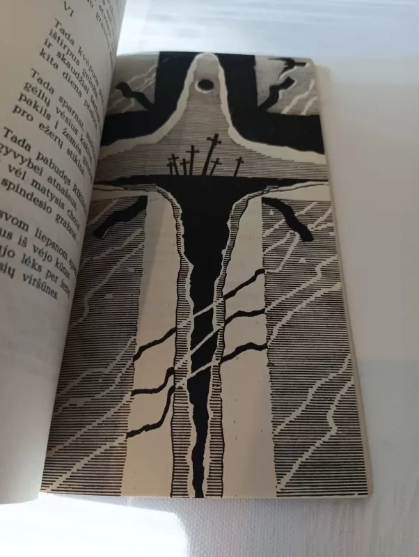 Veidas dilgėlėse - Jonas Kalinauskas, knyga 4