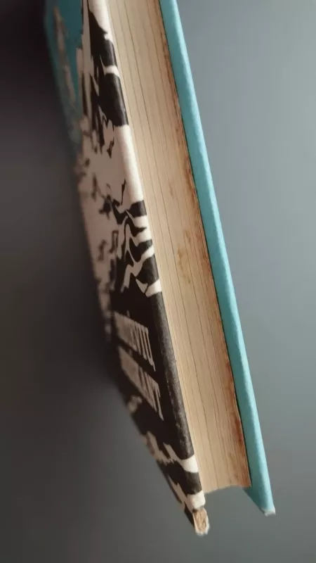 Protėvių beieškant - Anatolijus Varšavskis, knyga 3