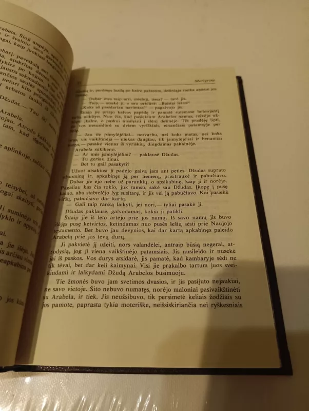 Džudas nepastebimasis - Tomas Hardis, knyga 3