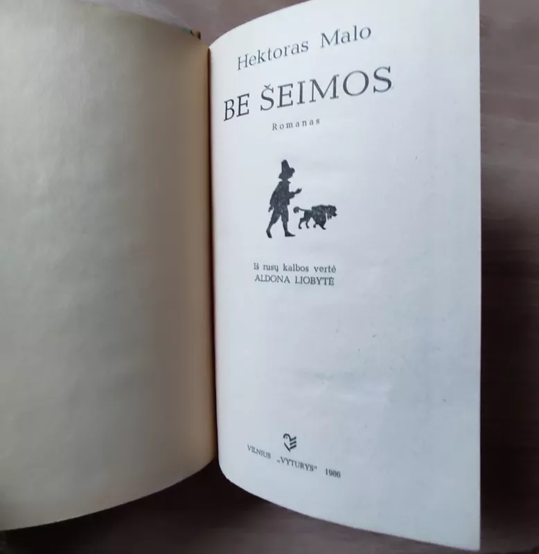 Be šeimos - Hektoras Malo, knyga 4