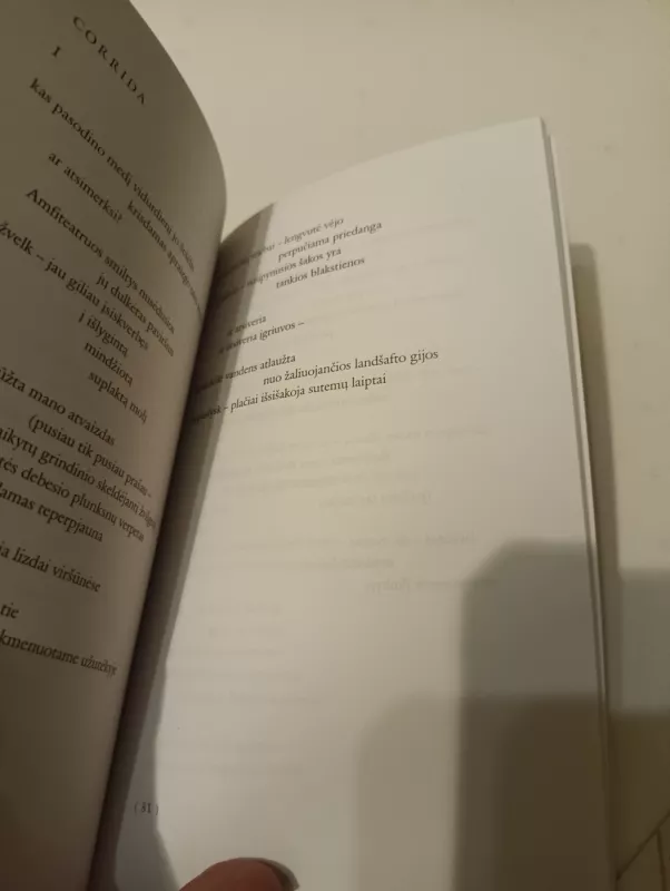 Skrendant nelieka pėdsakų - Artūras Valionis, knyga 4