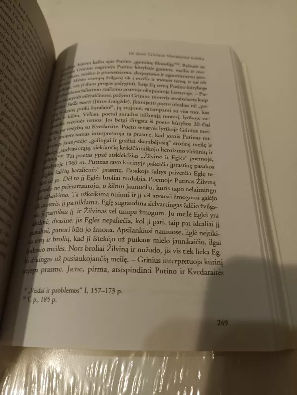 Plyksniai ateitin - Vincas Natkevičius, knyga 3