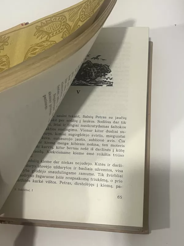 Sukilėliai - Vincas Mykolaitis-Putinas, knyga 5