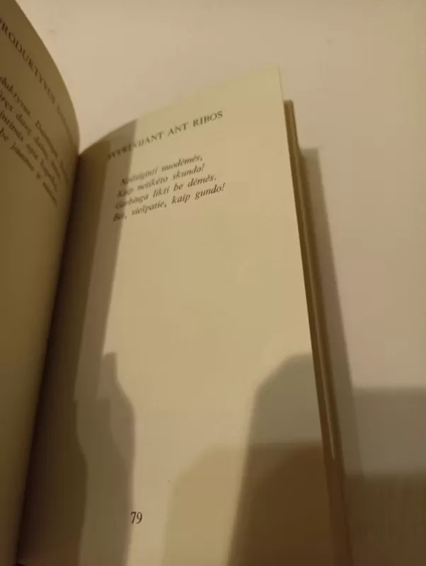 Paskutinis taškas - Juozas Nekrošius, knyga 4