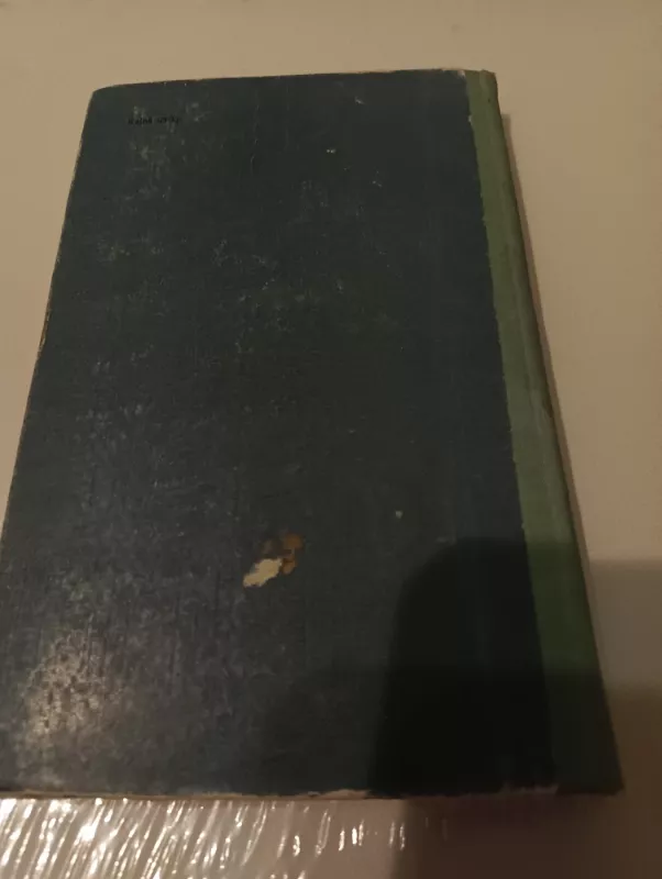 Sandžio laivai - Valentina Muchina-Petrinskaja, knyga 4