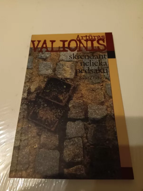 Skrendant nelieka pėdsakų - Artūras Valionis, knyga 2