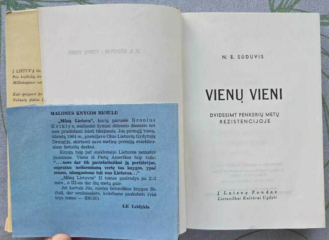 Vienų vieni dvidešimt penkerių metų rezistencijoje - N.E. Sūduvis, knyga 4