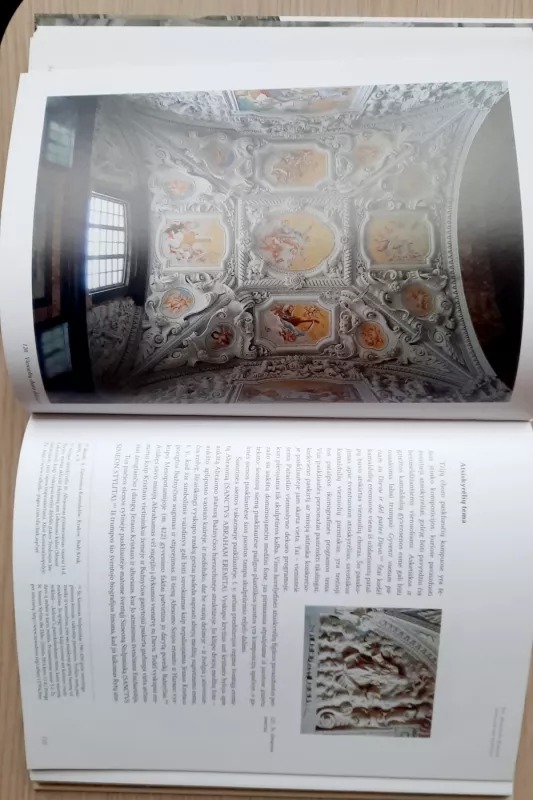 Kelionė į Ramybės kalną. Pažaislio kamaldulių vienuolyno dailės ikonologija - Laima Šinkūnaitė, knyga 4