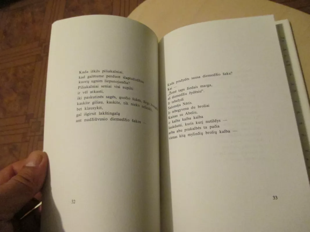 Graffiti - Liūnė Sutema, knyga 5