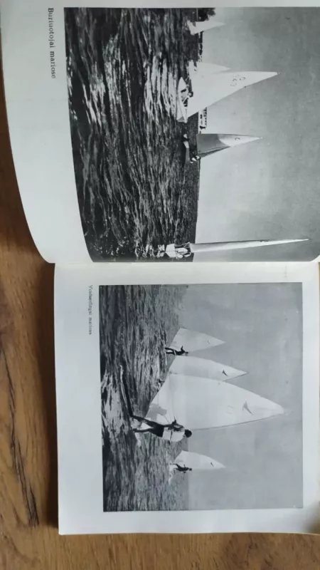 Kuršių nerija - Milda Telksnytė, knyga 6