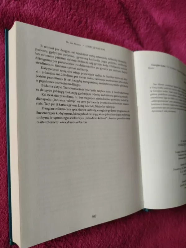 Energijos kodai - Sue Morter, knyga 5