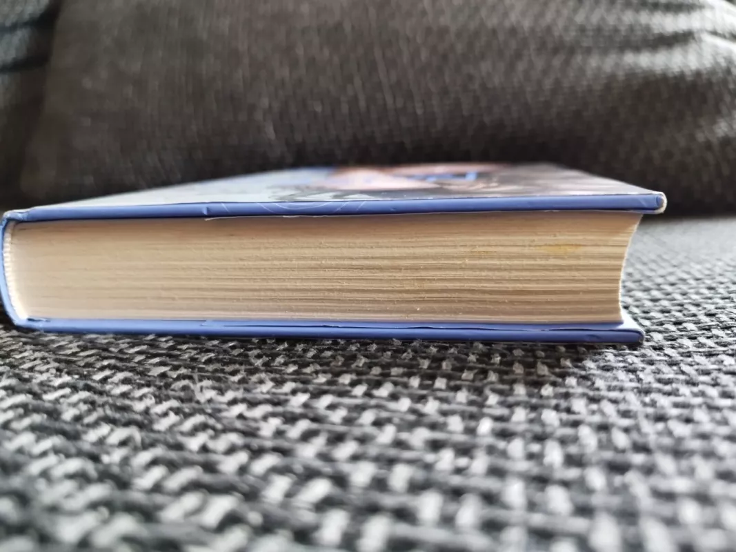 Beprotiškai tavo - GIBSON RACHEL, knyga 5