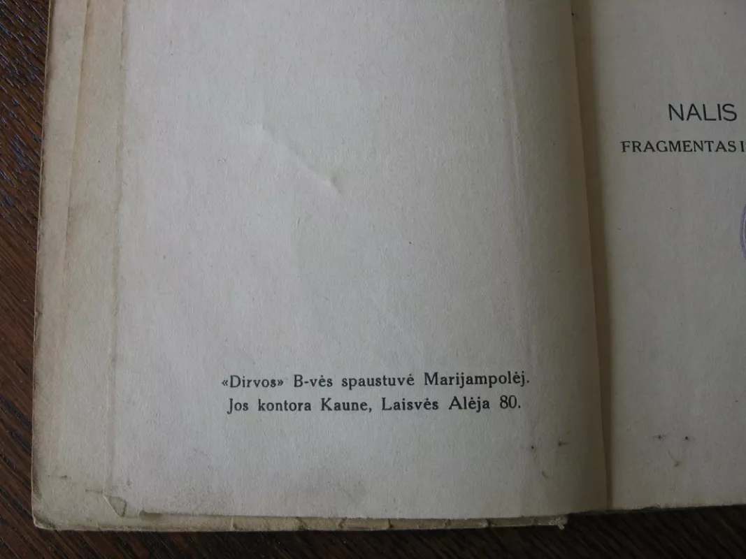Nalis ir Damajantė. Fragmentas iš indų Mahabharatos epo. - Autorių Kolektyvas, knyga 6