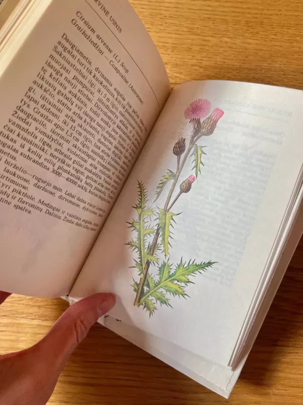 Rudenį žydintys augalai - R. Jankevičienė, knyga 3