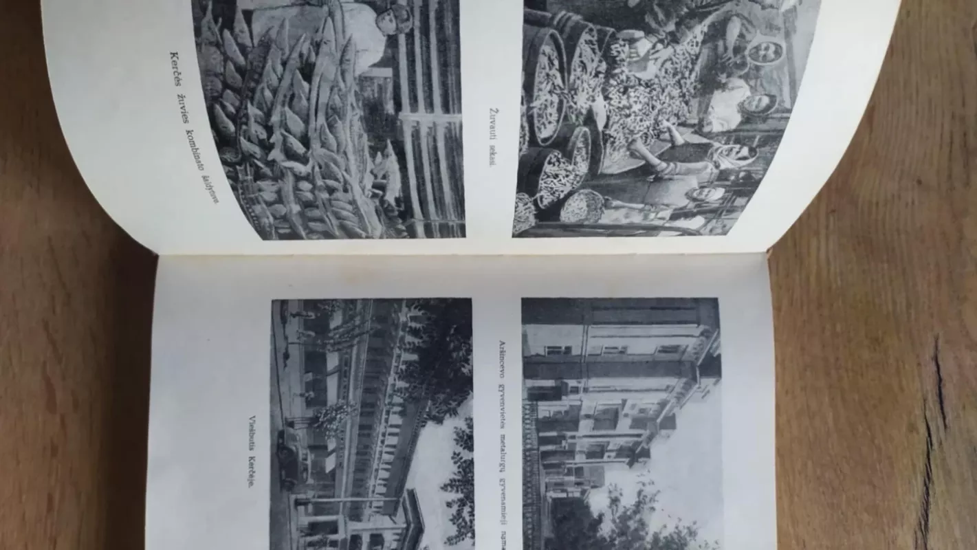 Kelionės po Krymą - Vera Vetlina, knyga 5