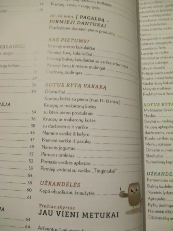 Mažylių receptai - Autorių Kolektyvas, knyga 6