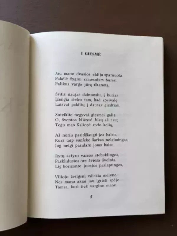 Skaistykla - Aligjeris Dantė, knyga 6