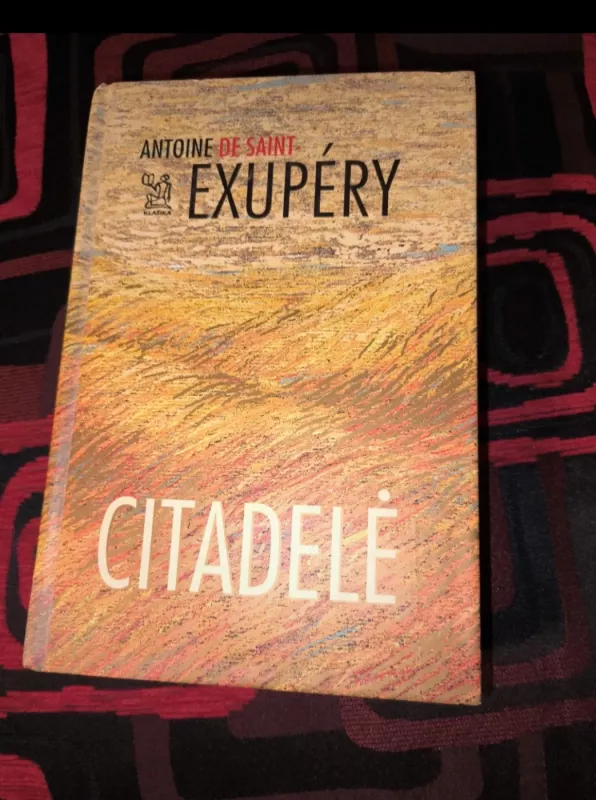 Citadelė - Antoine de Saint-Exupéry, knyga 2