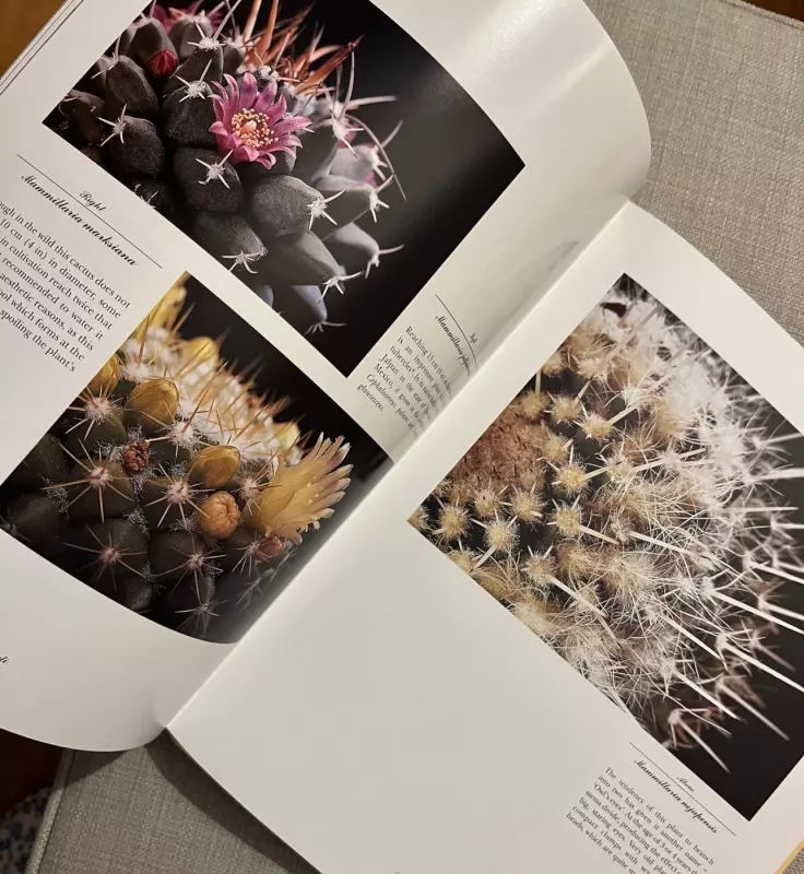 Cacti - Vincent Ceruttti, knyga 3