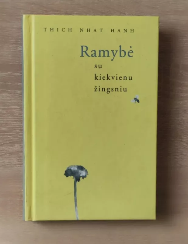 Ramybė su kiekvienu žingsniu - Autorių Kolektyvas, knyga 2