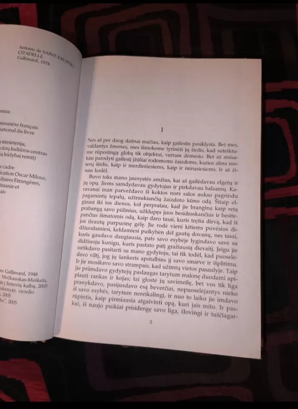 Citadelė - Antoine de Saint-Exupéry, knyga 3