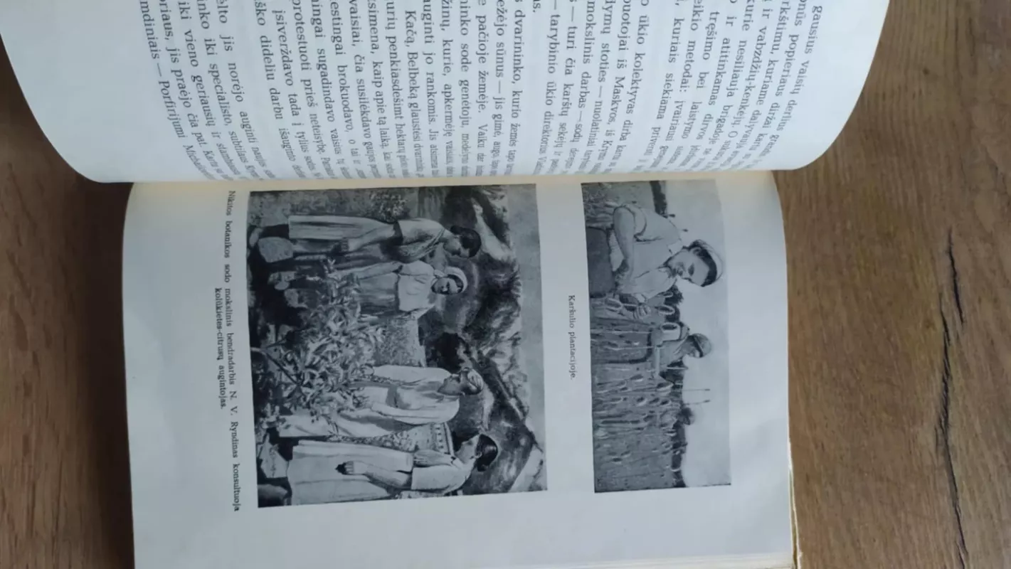 Kelionės po Krymą - Vera Vetlina, knyga 3