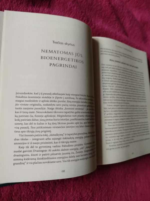 Energijos kodai - Sue Morter, knyga 4