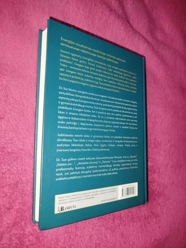 Energijos kodai - Sue Morter, knyga 6