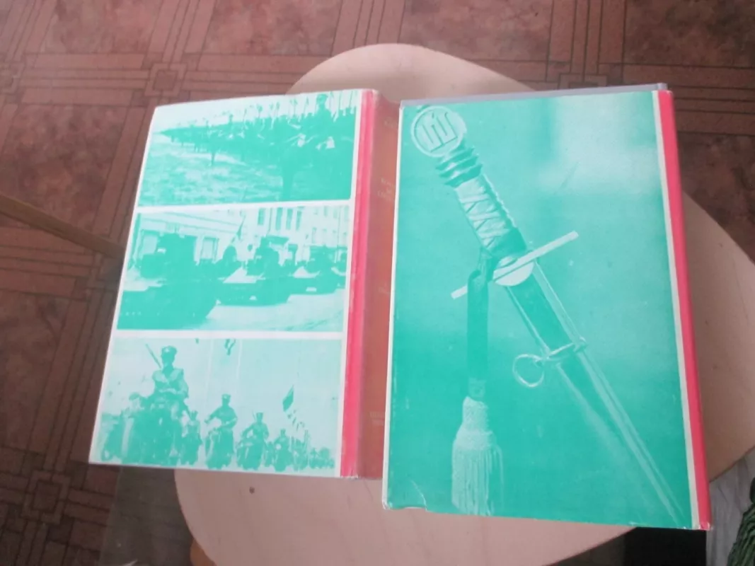 Kovose dėl Lietuvos (2 tomai) - Stasys Raštikis, knyga 4