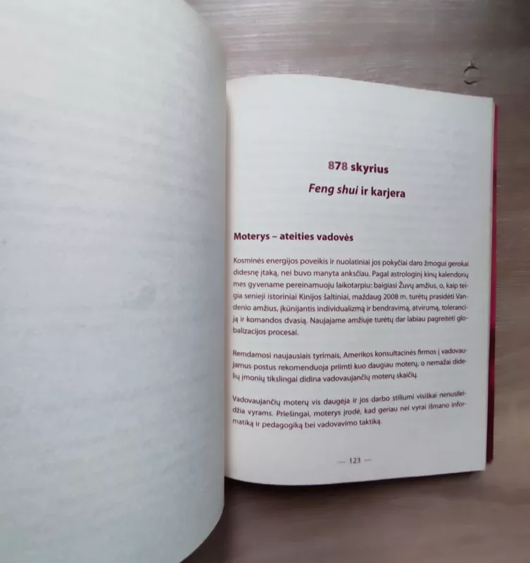 Feng Shui šiuolaikinei moteriai - Sonja Lobbert, knyga 6