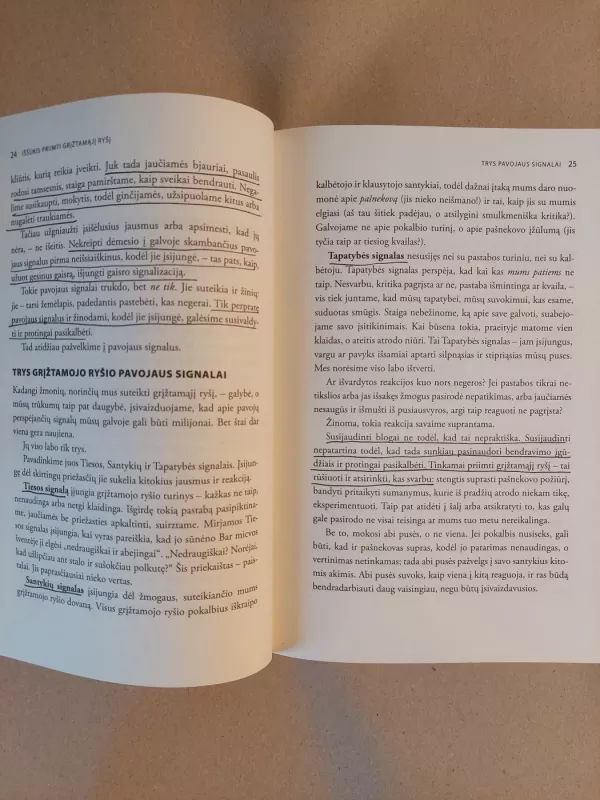 Grįžtamasis ryšys: džiaugiuosi, kad pasakei. Menas ir mokslas priimti grįžtamajį ryš - Douglas Stone, Sheila Heen, knyga 4