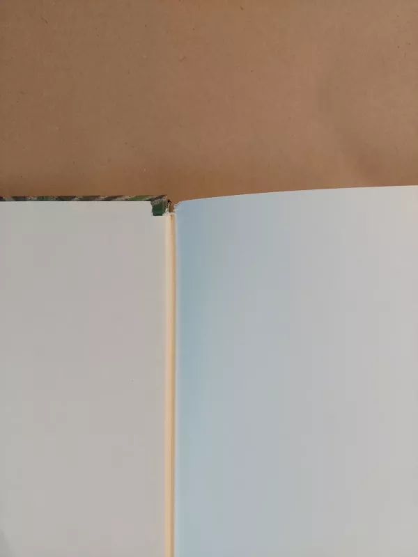 Santarvė vietoje kovos - Nikolajus I. Kurdiumovas, knyga 3