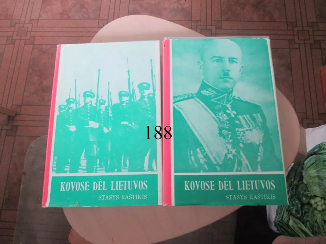 Kovose dėl Lietuvos (2 tomai) - Stasys Raštikis, knyga 2