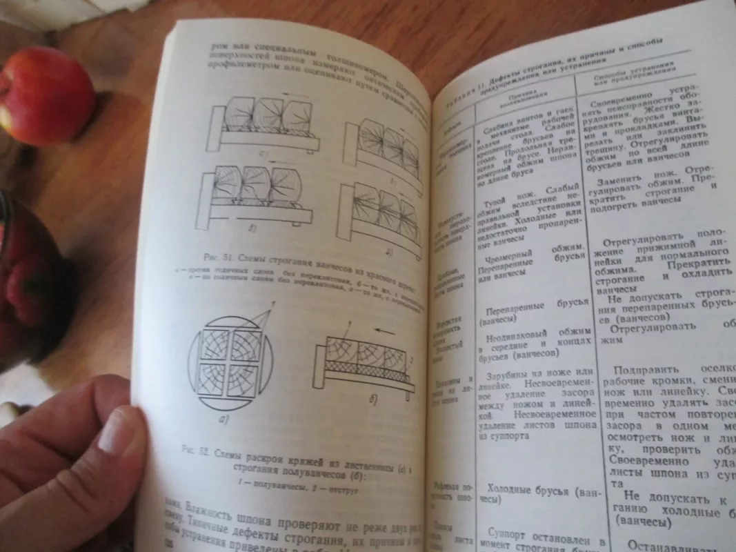 Medienos plaušo staklės ir įranga plaušui apdoroti (rusų k.) - V. I. Liubčenko, knyga 6