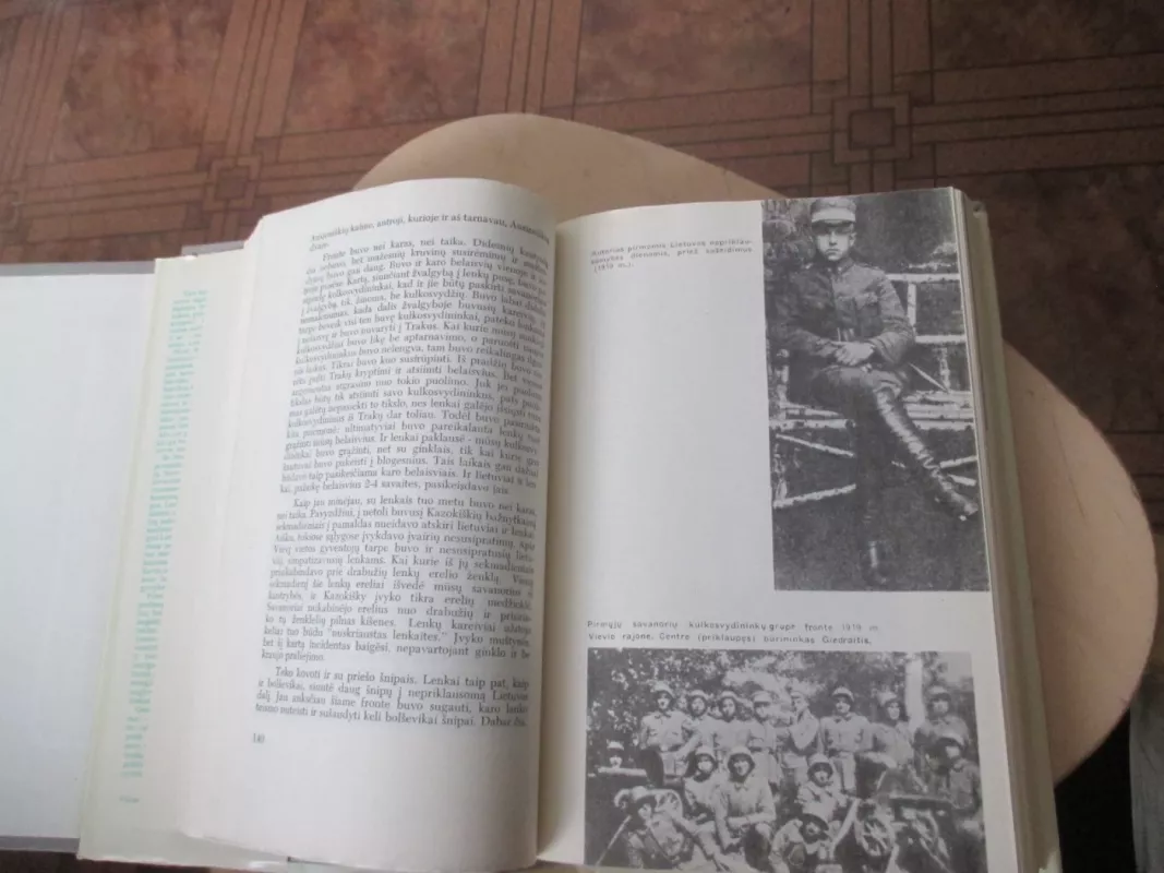 Kovose dėl Lietuvos (2 tomai) - Stasys Raštikis, knyga 5