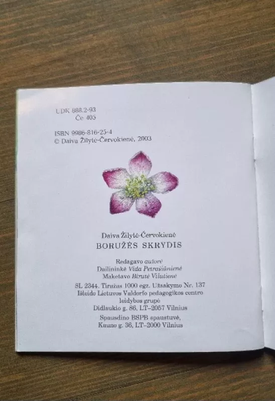 Boružės skrydis - Daiva Žilytė-Červokienė, knyga 5