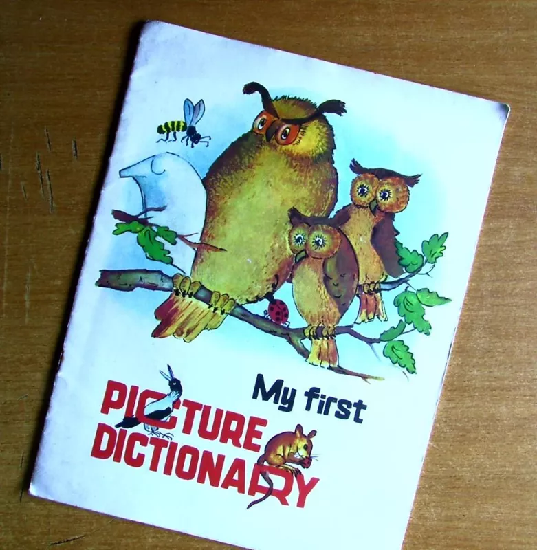My first picture dictionary - Autorių Kolektyvas, knyga 2