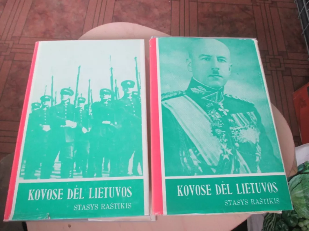 Kovose dėl Lietuvos (2 tomai) - Stasys Raštikis, knyga 3