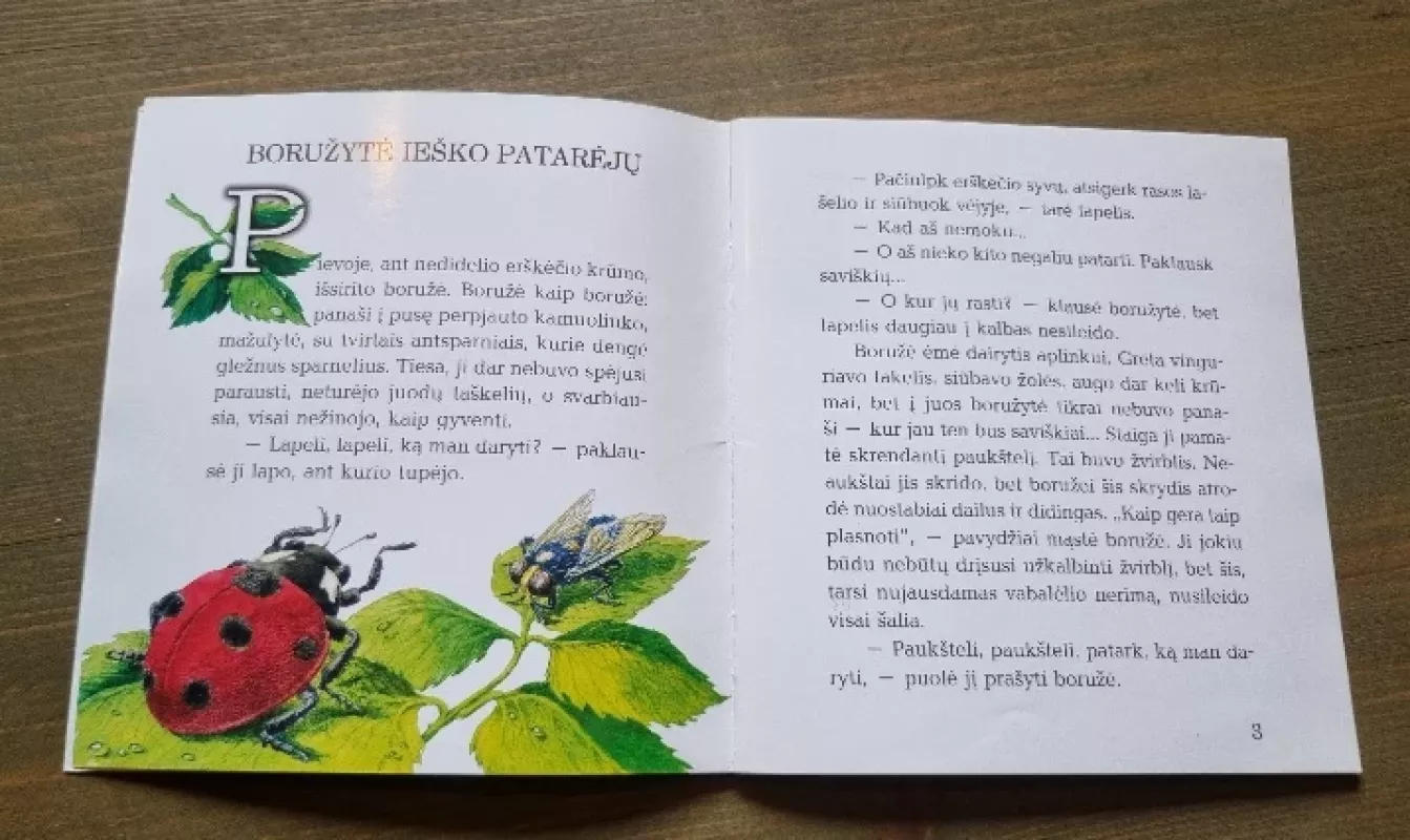 Boružės skrydis - Daiva Žilytė-Červokienė, knyga 6