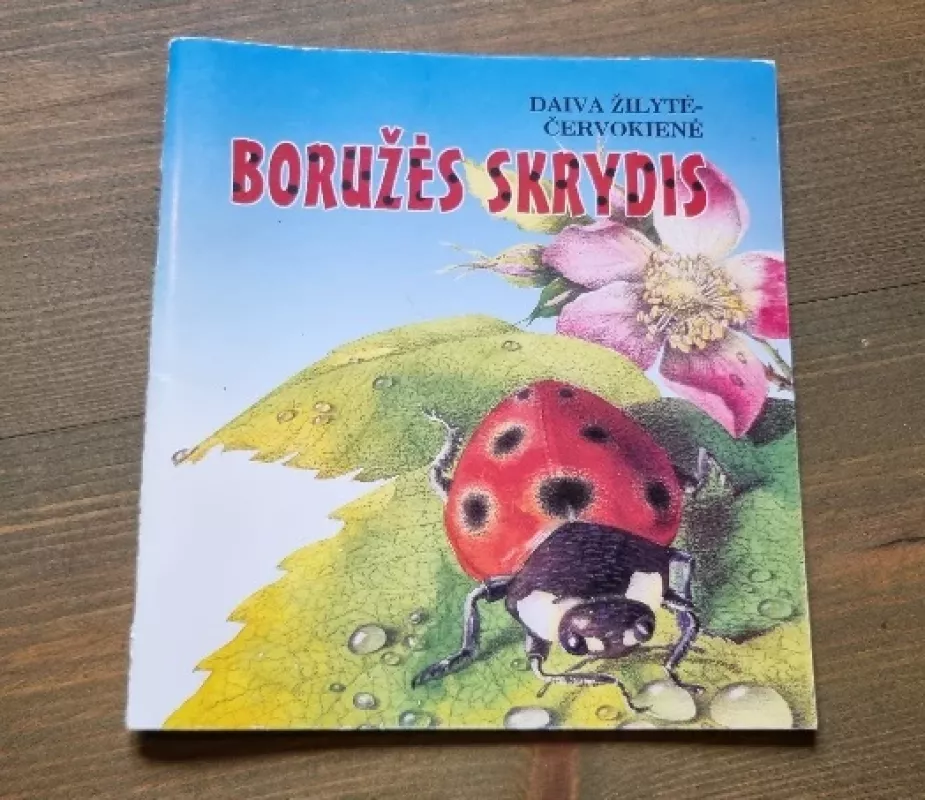 Boružės skrydis - Daiva Žilytė-Červokienė, knyga 2