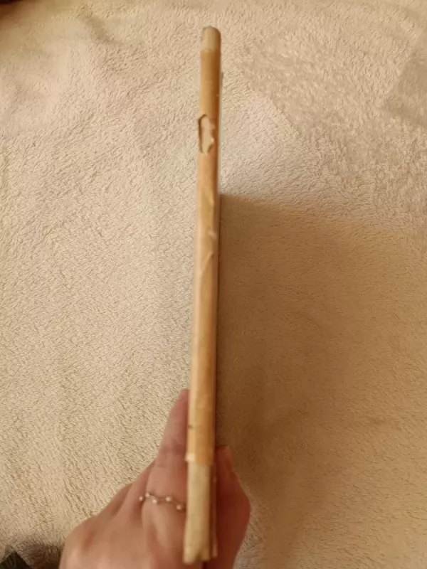 Senojo Egipto dailė - Ieva Andrulytė-Aleksienė, knyga 3