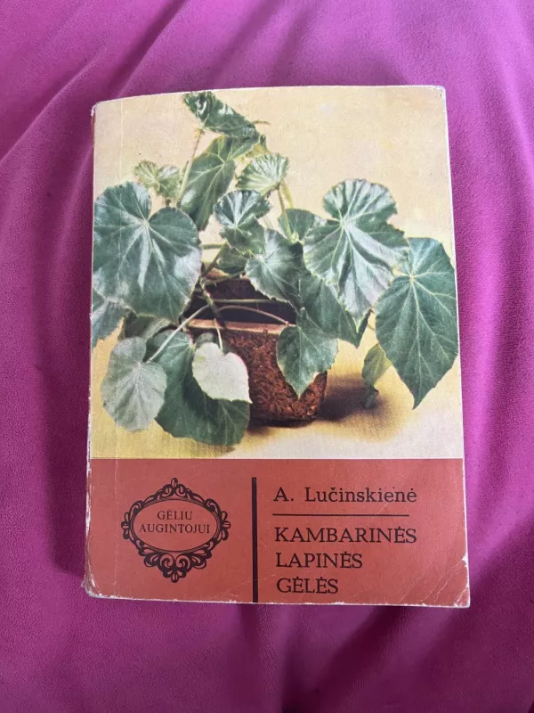 Kambarinės lapinės gėlės - A. Lučinskienė, knyga 2