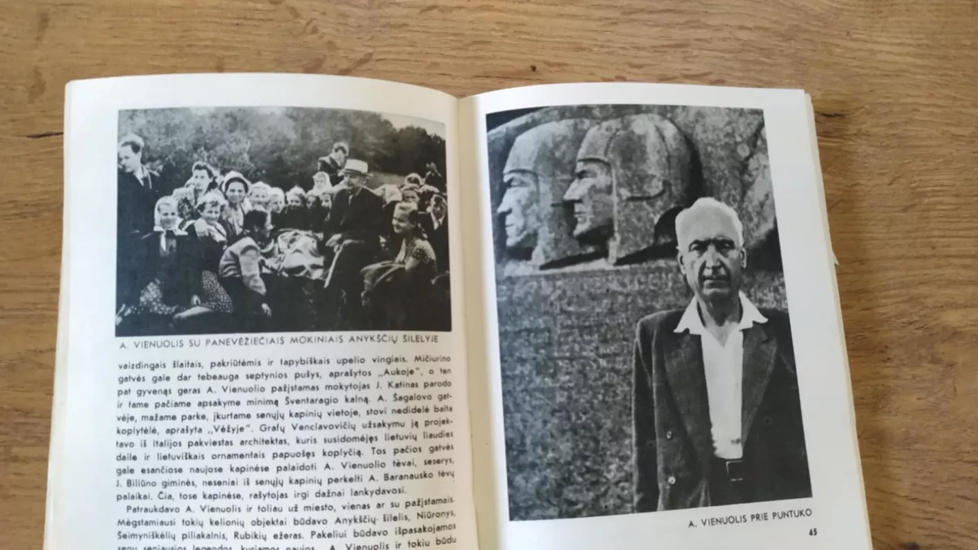 ANYKŠČIAI - H. GAPŠIENĖ, knyga 4