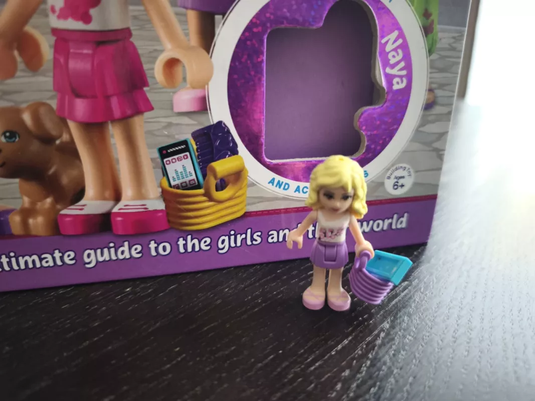 LEGO® FRIENDS Character Encyclopedia: The Ultimate Guide to the Girls and Their World - Catherine Saunders, knyga 4