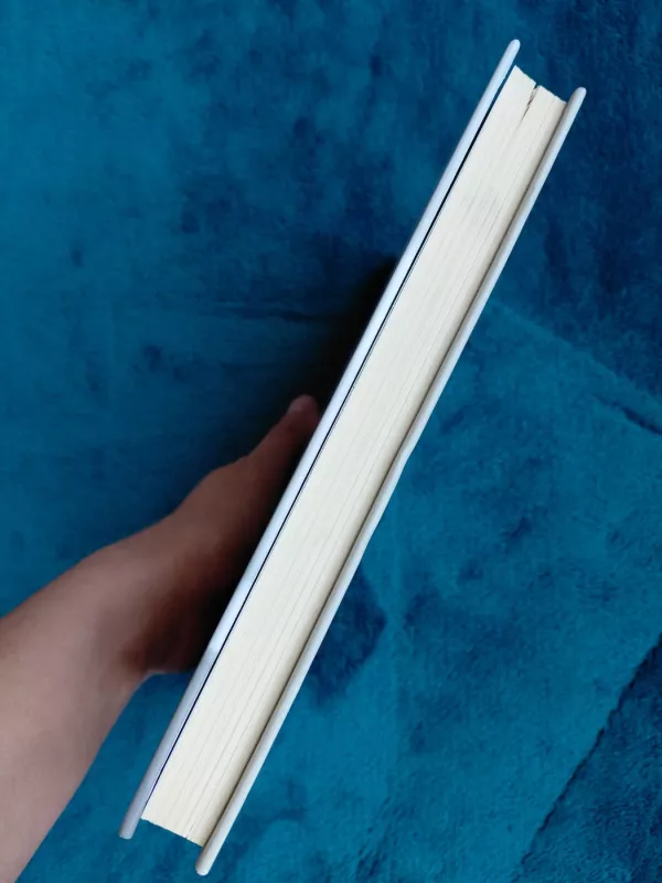 Nenuoramų Kalėdos - Lisa Kleypas, knyga 4