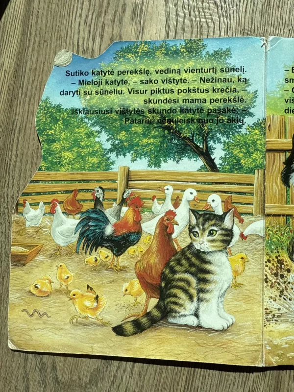 Katytė gražuolytė - J.K. Sivekas, knyga 4