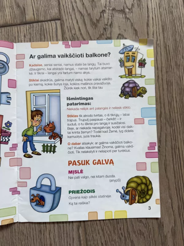 Kaip dera elgtis namie - Liudmila Radzijevskaja, knyga 4