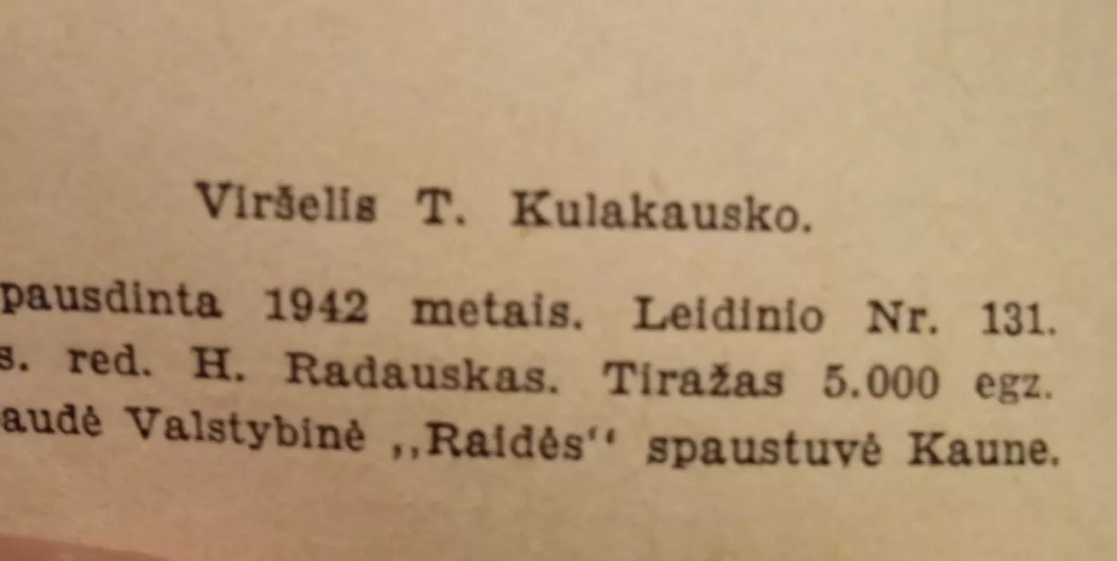 Karaliaus ugnys - Nelė Mazalaitė, knyga 5