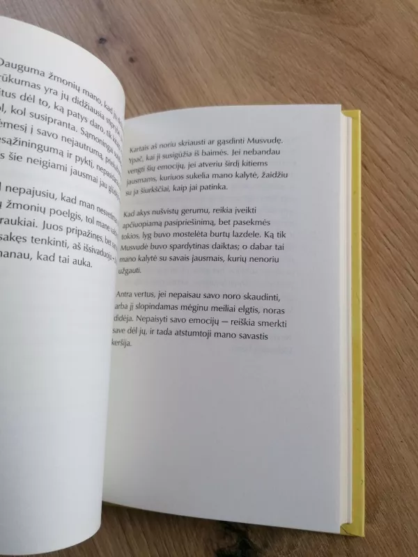 Užrašai sau - mano pastangos tapti asmenybe - Hugh Prather, knyga 6